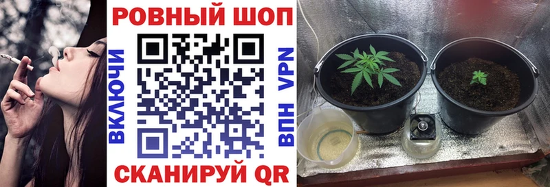 Сколько стоит Пустошка Каннабис Cocaine A PVP ГАШ