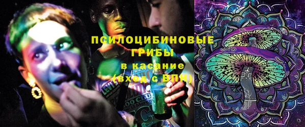 гашик Алзамай