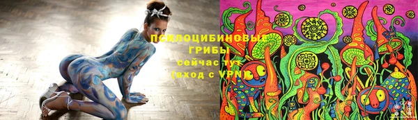 гашик Алзамай