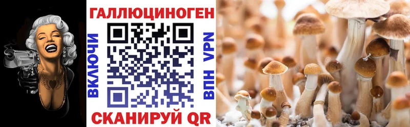 Галлюциногенные грибы ЛСД  Пустошка 